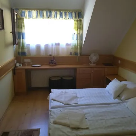 Bed and breakfast Odvaskő Panzió *