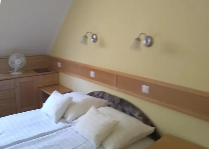 住宿加早餐酒店 Odvasko Panzio *