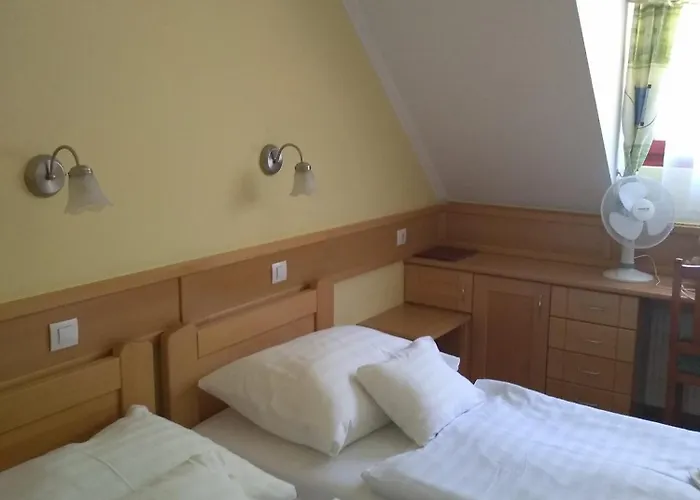 Odvasko Panzio 住宿加早餐酒店 *