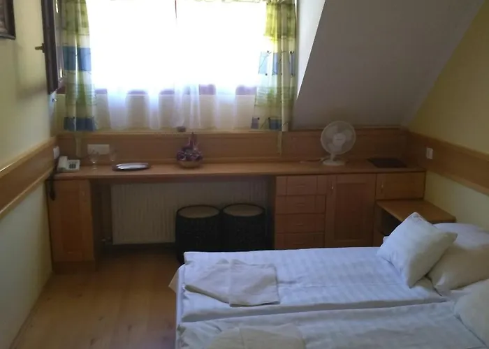 住宿加早餐酒店 Odvasko Panzio *